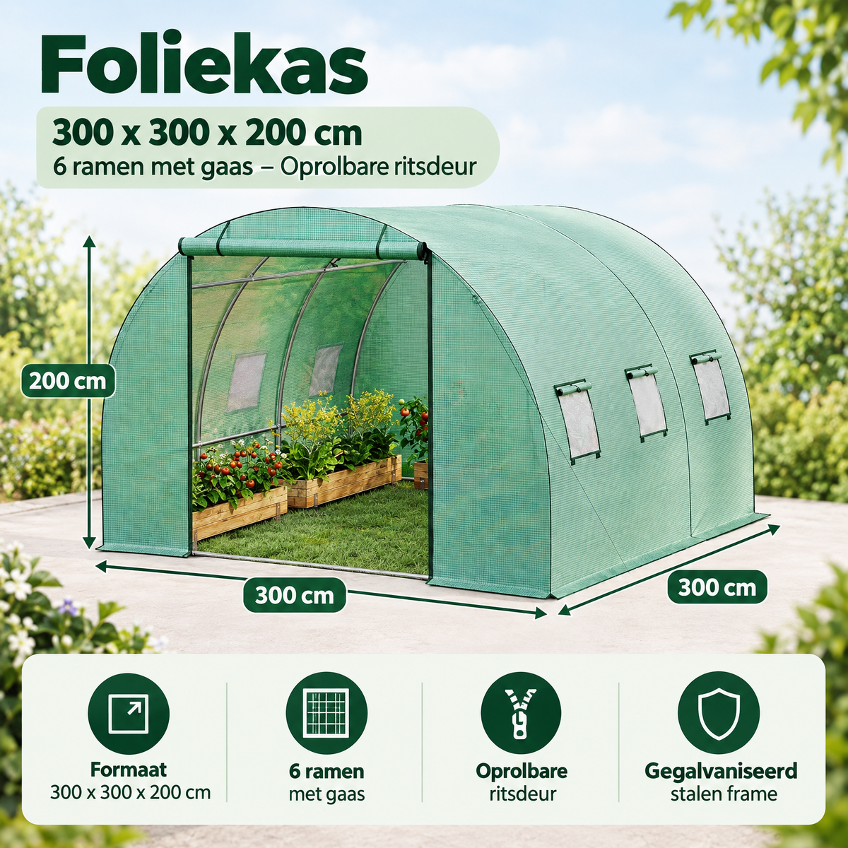 Afmetingen en productspecificaties van foliekas