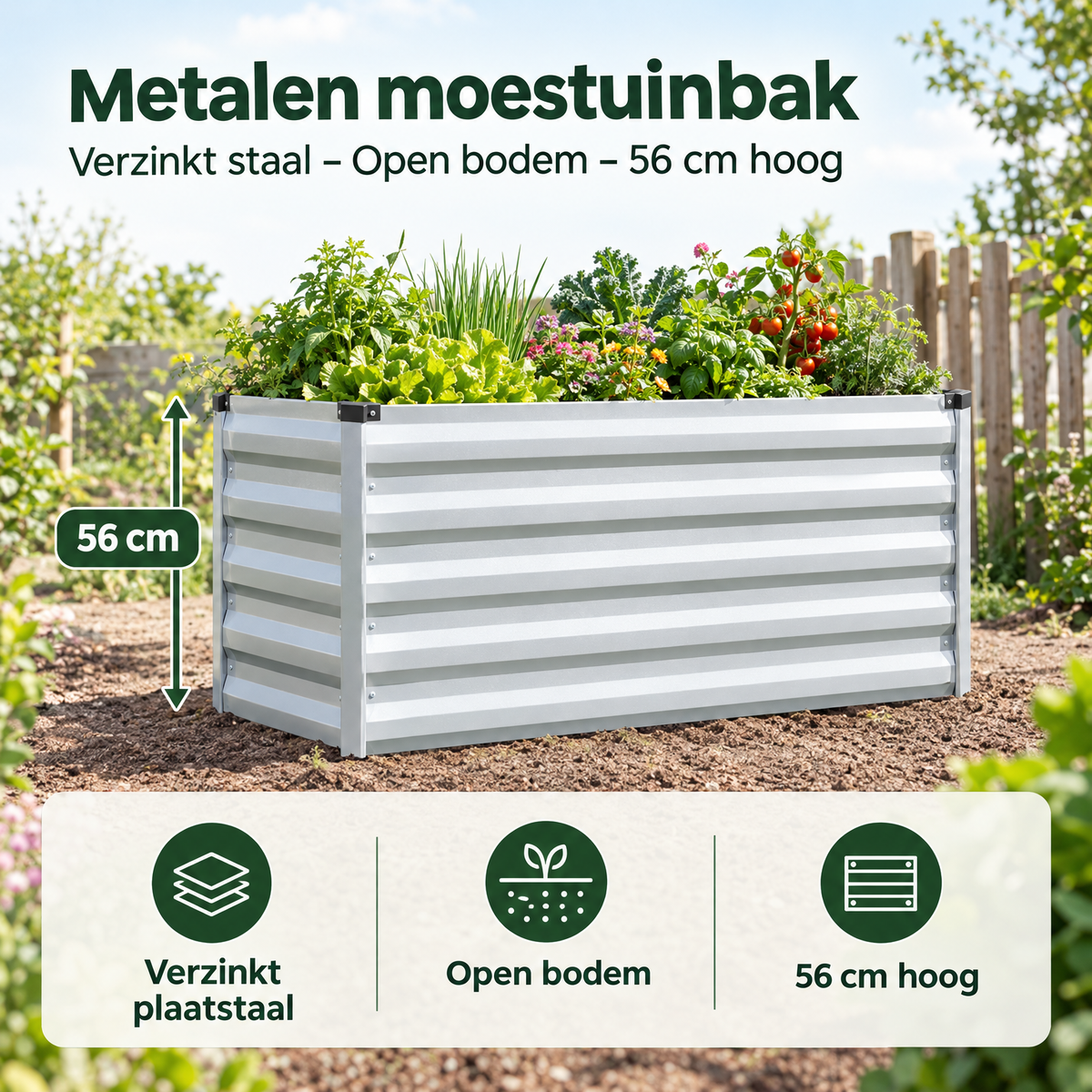 Metalen moestuinbak van verzinkt staal met open bodem en afmetingen, 56 cm hoog, geschikt voor tuinieren.