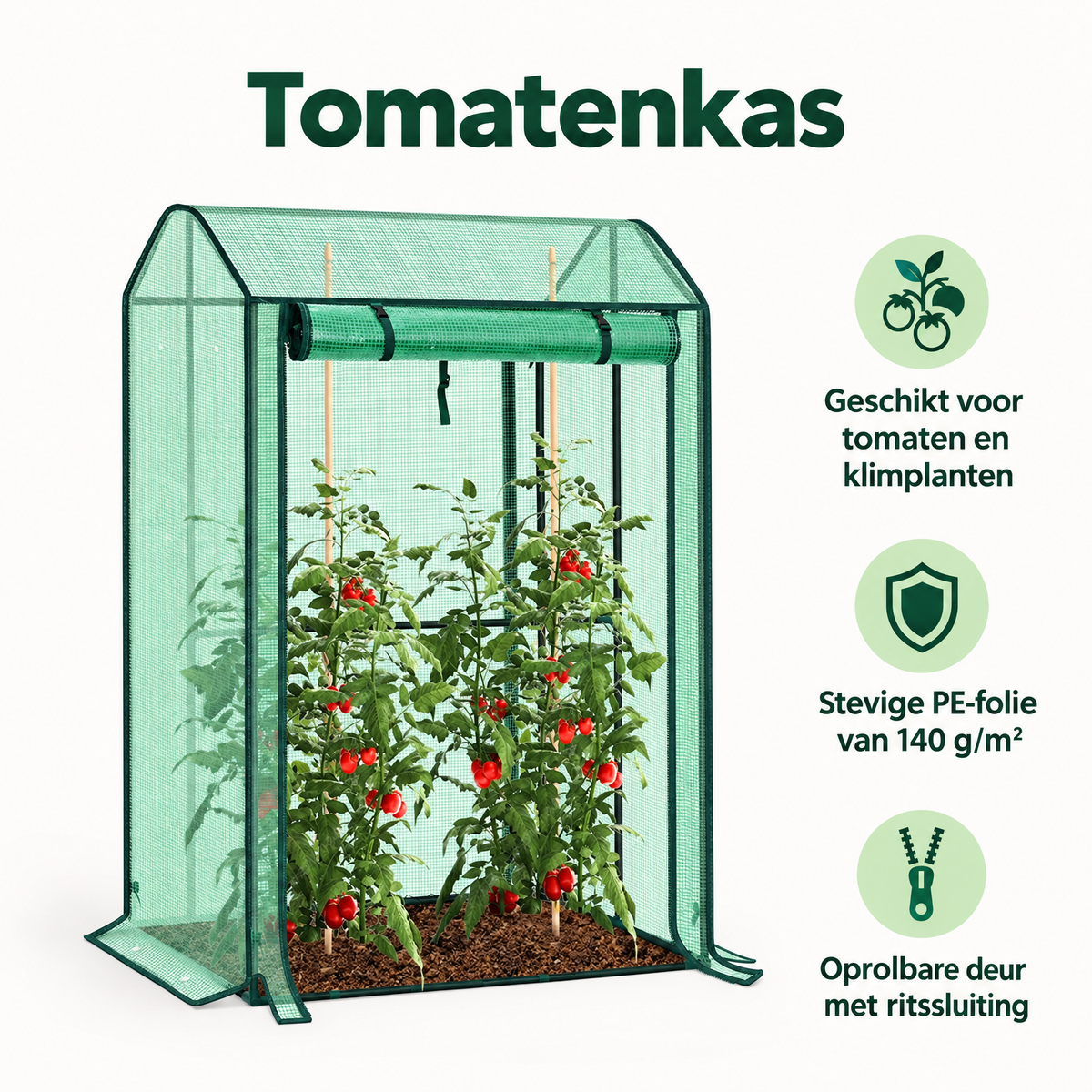 Belangrijkste voordelen en eigenschappen van tomatenkas
