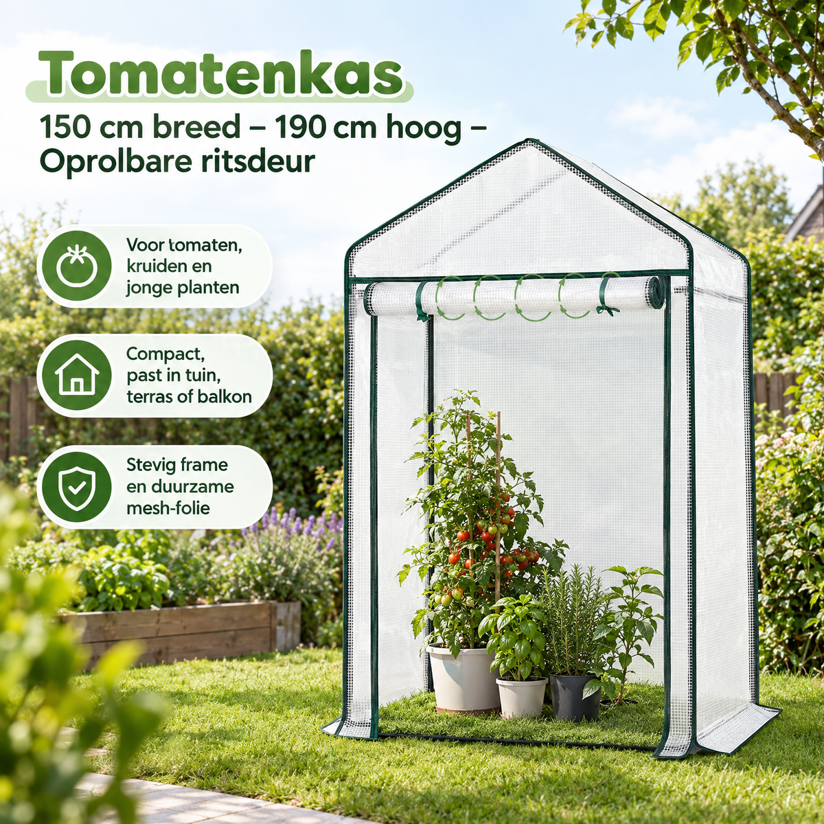 Praktische toepassing en keuzehulp voor tomatenkas