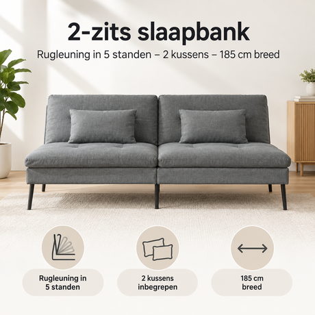 BukkitBow 2-zits slaapbank met verstelbare rugleuning in 5 standen, inclusief 2 kussens, 185 cm breed en modern design.
