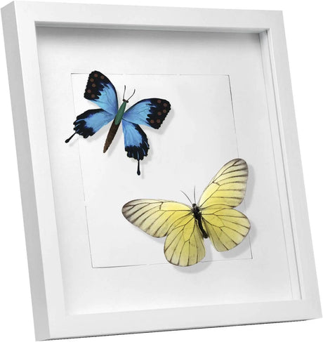3D fotolijst van MDF met passe-partout, wit of zwart, door BukkitBow, toont een foto in een moderne lijst.