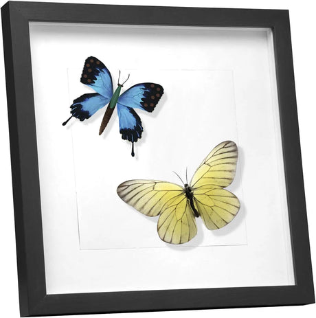 Witte of zwarte 3D fotolijst van MDF met passe-partout, geschikt voor het tonen van foto's in een modern frame.