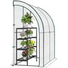 BukkitBow polytunnel tuinkas voor groenteteelt, winterproof, compact met 2 grote deuren, afmetingen 200x100x210 cm.
