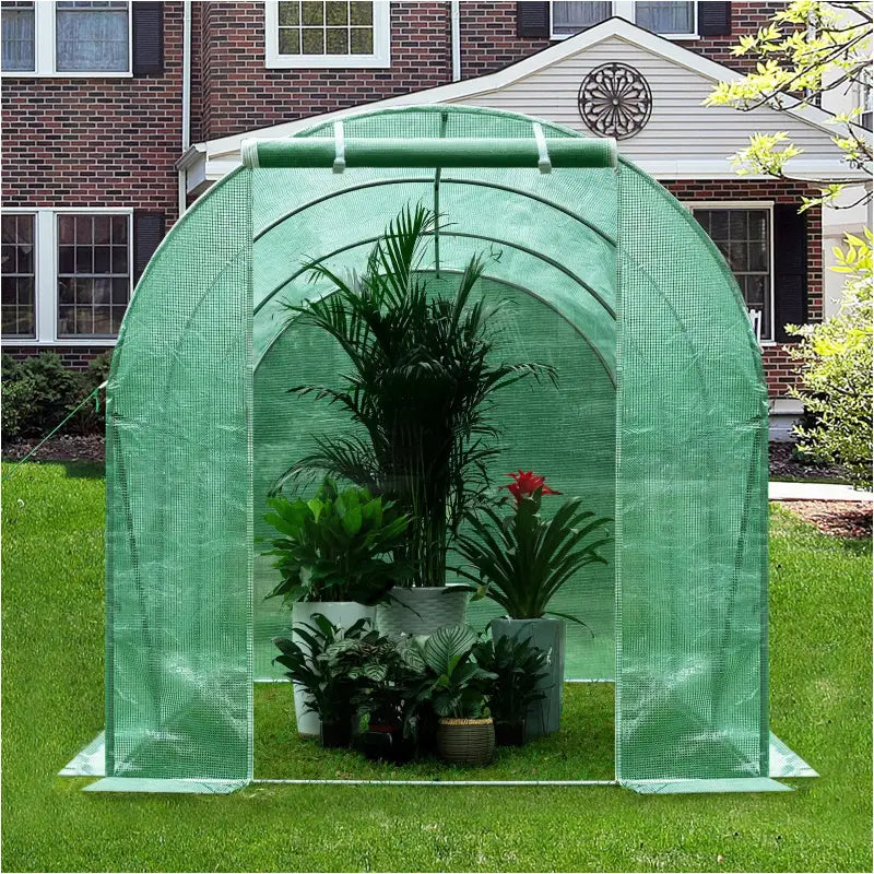 BukkitBow polytunnel tuinkas voor groenten, winterproof, compact met deur en zes ramen, afmetingen 300x200x190 cm.