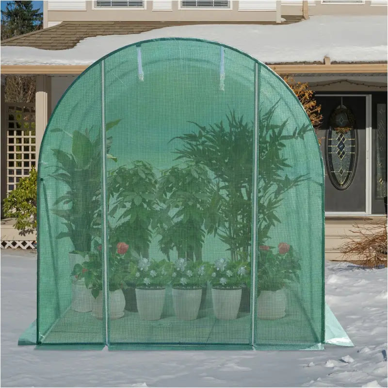 BukkitBow polytunnel tuinkas voor groenten teelt, compact met deur en 6 ramen, winterproof, 300x200x190cm.