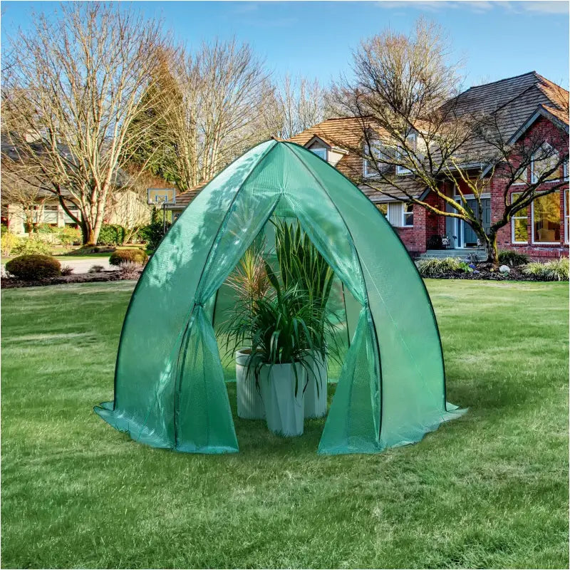 BukkitBow polytunnel tuinkas voor groenten, winterproof, compact met groot luik en raam, afmetingen 240x240x200 cm.