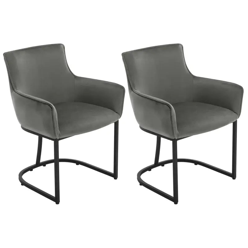 Set van 2 BukkitBow fluwelen eetkamerstoelen met metalen poten, stabiel en comfortabel, zithoogte 46,5 cm.