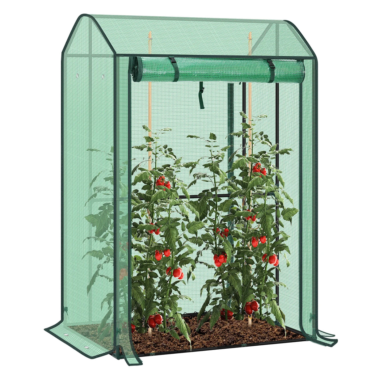 BukkitBow stabiele tuinkas voor tomaten en klimplanten, wintervast, met transparante wanden en stevige frame voor in de tuin.