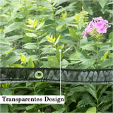 Transparant PVC afdekzeil van BukkitBow, waterdicht met aluminium oogjes, geschikt voor diverse afmetingen, 380g/m².