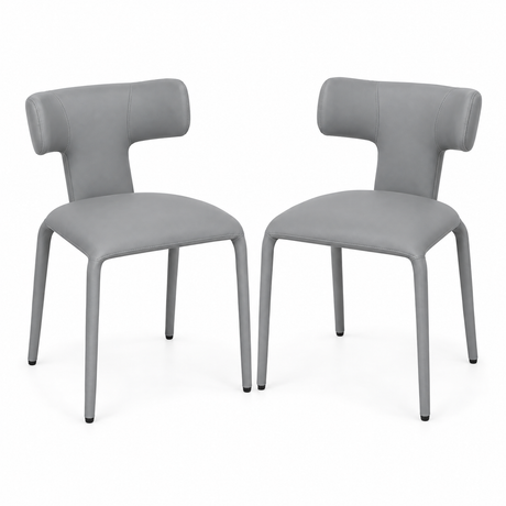 eetkamerstoelen set van 2 productfoto op neutrale achtergrond