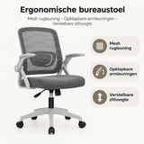 Belangrijkste voordelen en eigenschappen van ergonomische bureaustoel