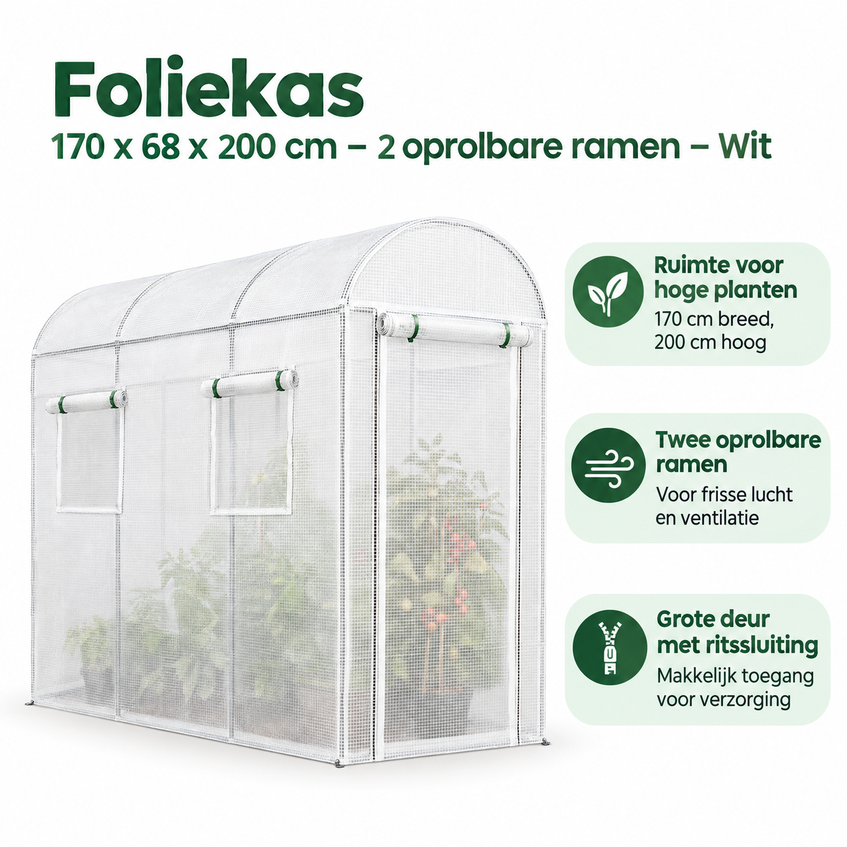 Belangrijkste voordelen en eigenschappen van foliekas
