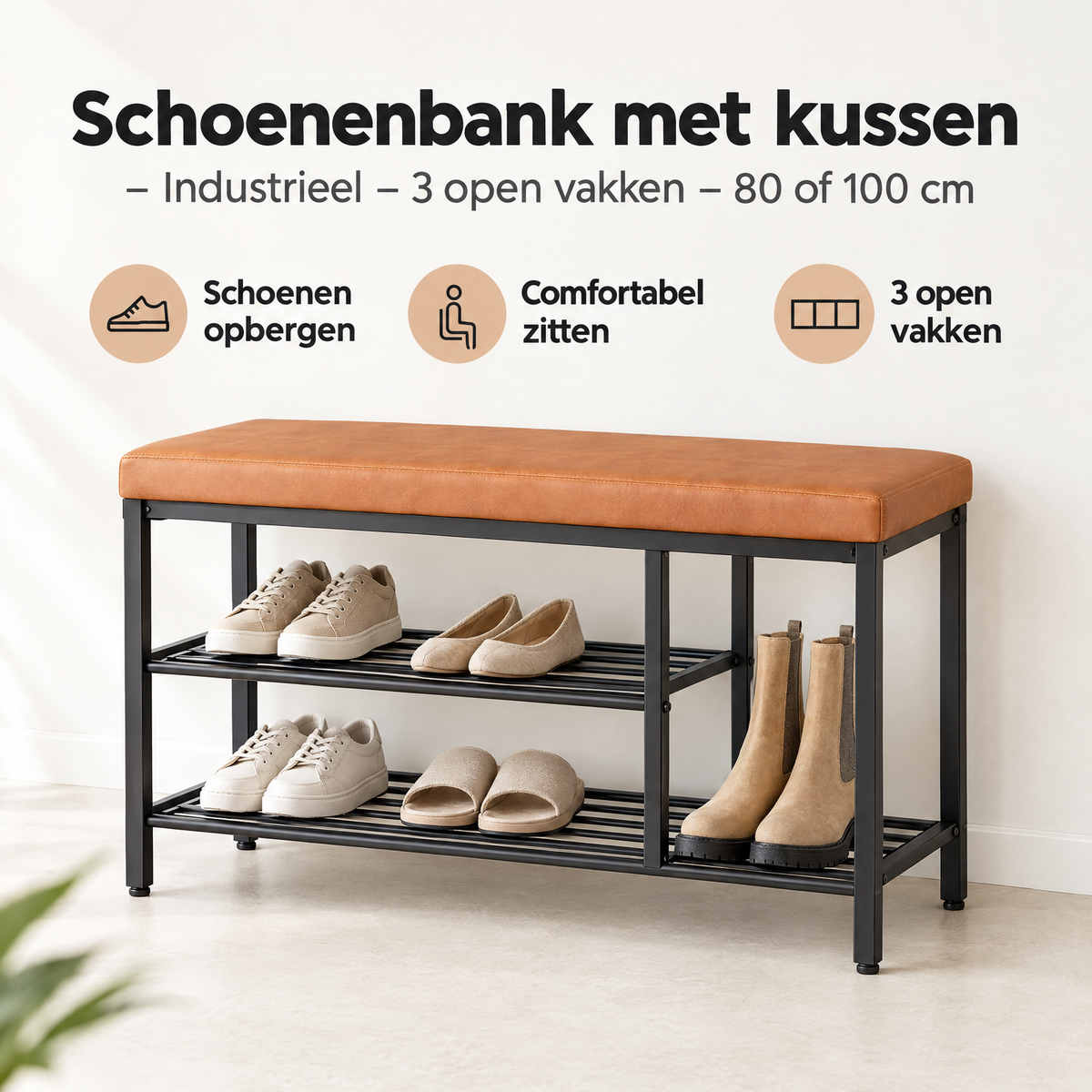 Belangrijkste voordelen en eigenschappen van schoenenbank met kussen