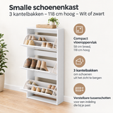 Belangrijkste voordelen en eigenschappen van smalle schoenenkast