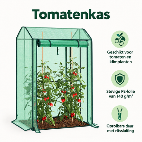 Belangrijkste voordelen en eigenschappen van tomatenkas