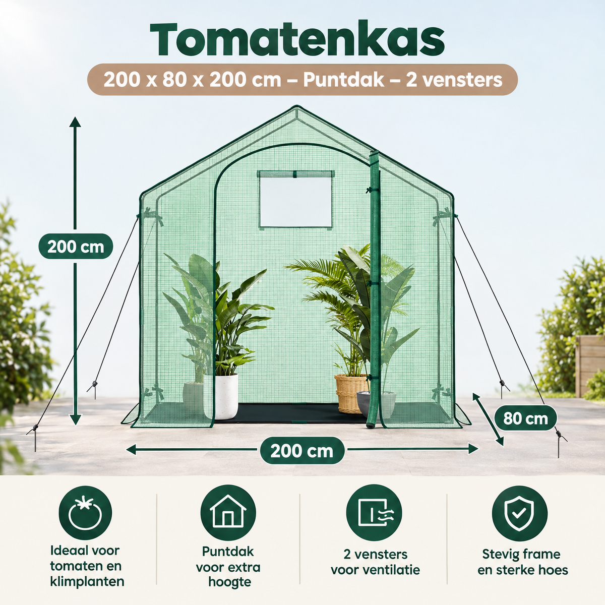 Afmetingen en productspecificaties van tomatenkas