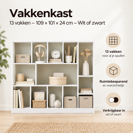 Belangrijkste voordelen en eigenschappen van vakkenkast